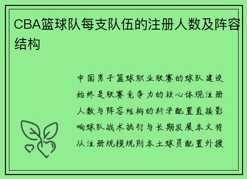 CBA篮球队每支队伍的注册人数及阵容结构